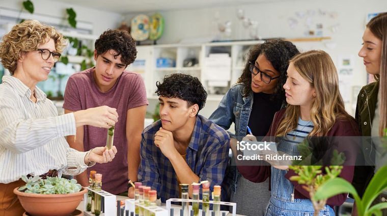 Mature science teacher showing sample in test tube to a group of multiethnic students during classroom activity. High school guys and girls gathered around table to observe biology experiment involving plant specimen. Group of young college classmates working on science project at school.